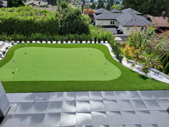 artificial turf langley