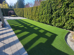 artificial turf langley