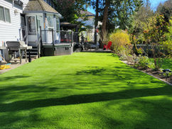 artificial turf langley