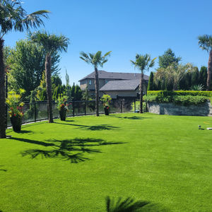 artificial turf langley