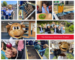 The Rainbow Allotment Project