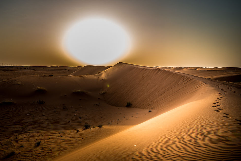 Dubai Desert