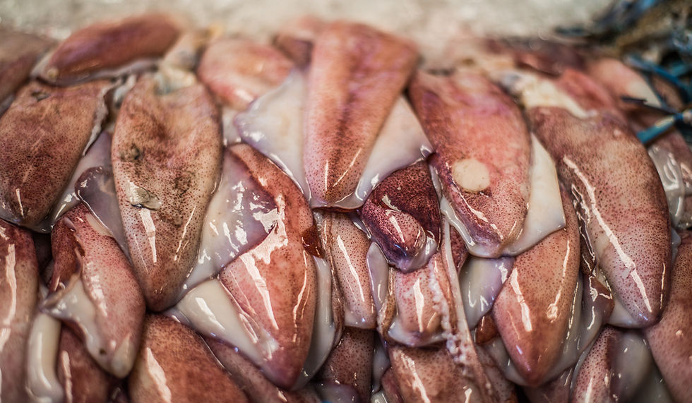 Fish Market - Dubai