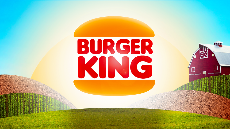 Burger King Ad Campaign (Mock)