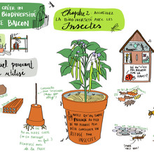 Exemple de résumé visuel, sur la thématique de la biodiversité en ville - réalisé sur tablette graphique