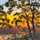 Thumbnail: Middle Harbour Twilight