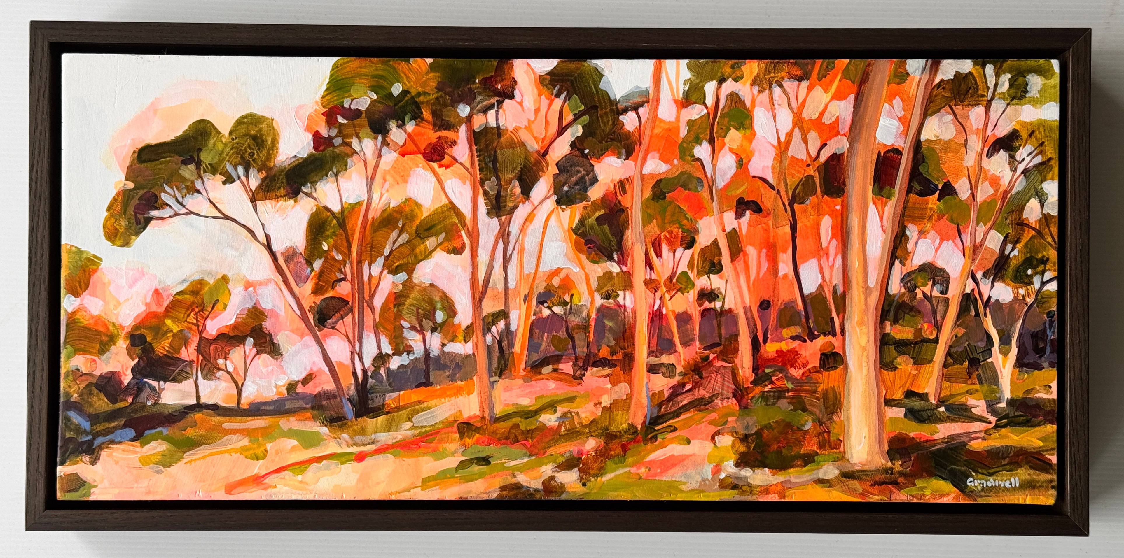 Morning Glory (FRAMED)