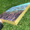 Thumbnail: Rumination