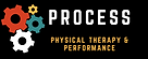 process physical therapy and performance