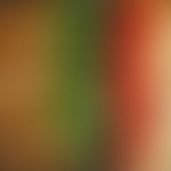 Quick and Nutritious Meals to Cook at Home