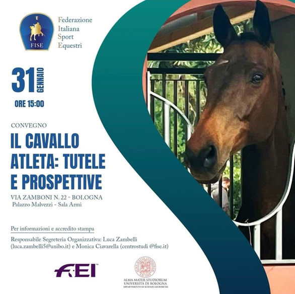 Convegno (2024)