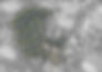 00000_0023_MASTER PLAN_PHOTOSHOP_ concha.jpg
