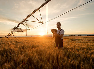 Young Farmer_edited.jpg