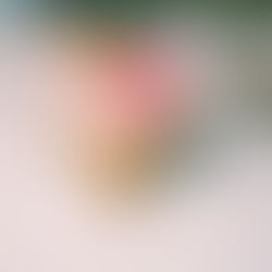 Кто на свете всех милее? Или секреты зеркальной глазури