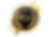 Best Quality Transparent.png
