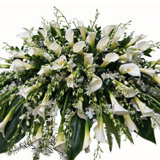 Silk Realistic Rental Flowers