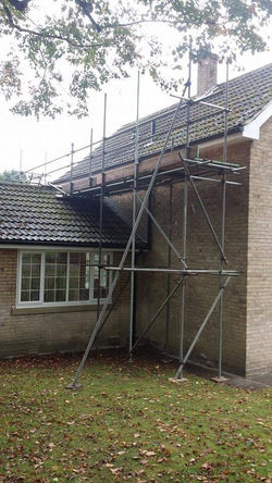 scaff 9