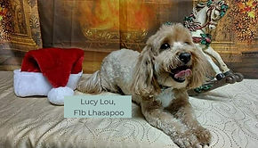 54 lucy lou_edited.jpg