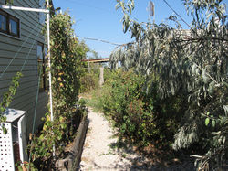 Изображение 080.jpg