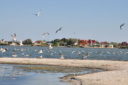 Изображение 118.jpg