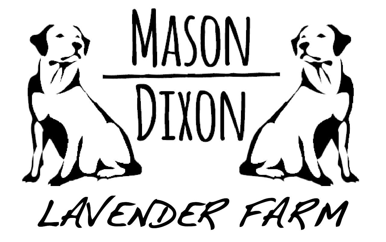 www.masondixonlavenderfarm.com