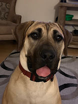 IMG_1897.jpeg