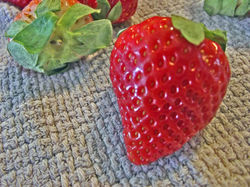Single Strawberry