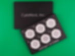 Thumbnail: CytoSurge™ PCL 6-well plate