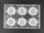 Thumbnail: CytoNest™ PCL Overlaid Fiber 3D Scaffold Inserts for 6-Well Culture Plate