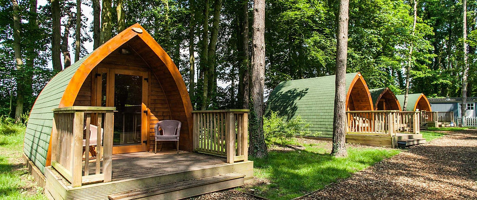 Wooden Pinewood Pods with green roofs in a forest setting, surrounded by trees. Each has a small porch with chairs, creating a peaceful vibe.