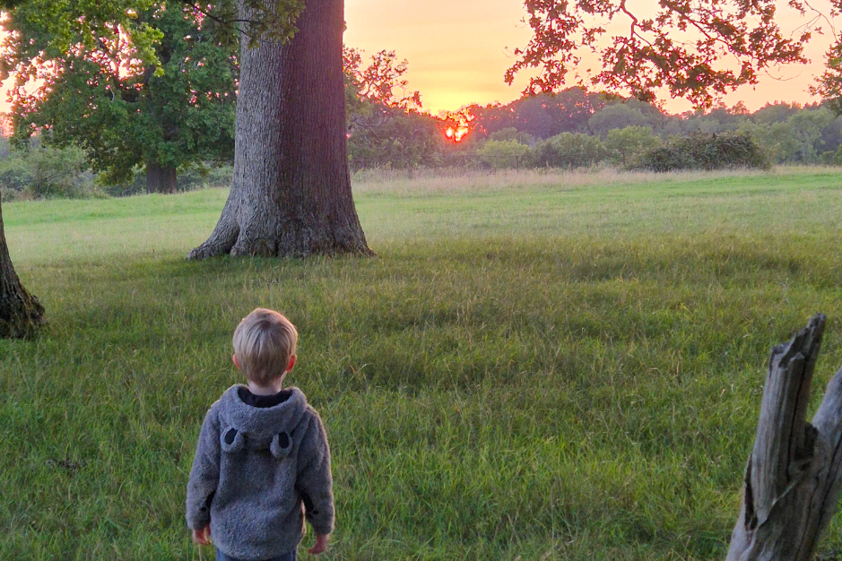 A beautiful sunset on the horizon