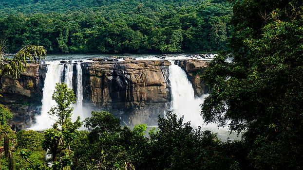 Wasserfall mit Bäumen im Vordergrund