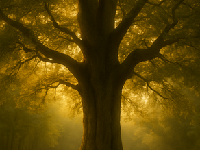 The Symbol of the Tree