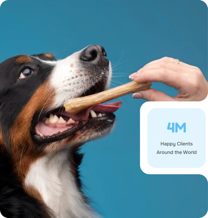 dog grabbing a treat bone from a human hand