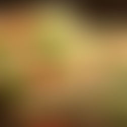 Introducing Millers Bakery: Artisan Bread Range