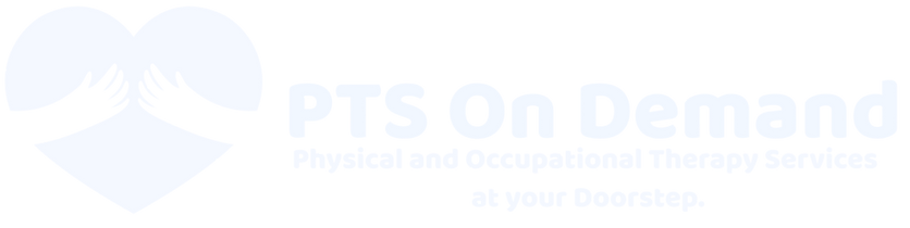 PTS On Demand - logo (1).png