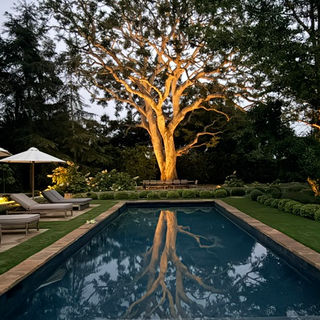 Contemporary pool design with tree reflection in Pacific Palisades