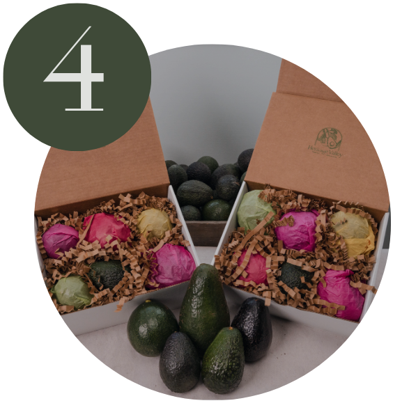 Farm-fresh avocados carefully packed for monthly delivery
