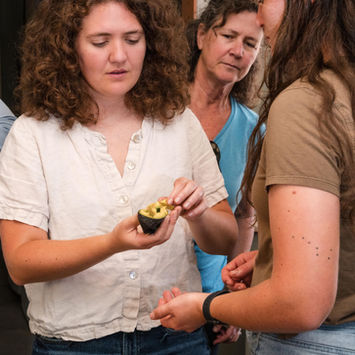 Cooking class featuring fresh avocados and seasonal farm produce on our private orchard in Santa Paula CA for members only