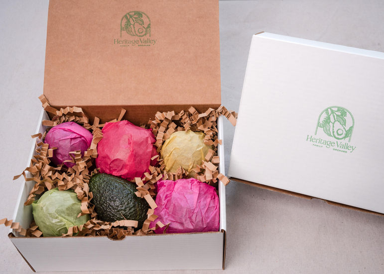 Heritage Harvest Box shipped nationwide with premium heirloom avocados