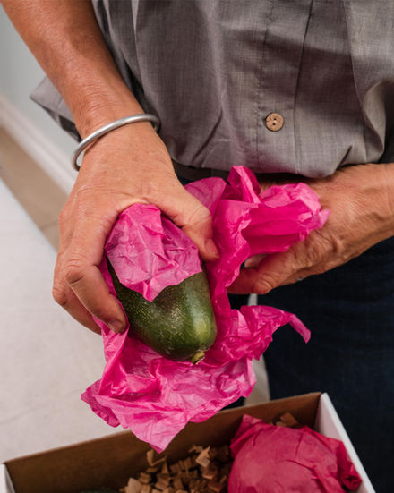 Heritage Harvest Box heirloom avocado gift box with 5 lbs of premium avocados