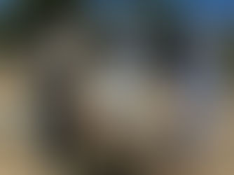 armer and nephew inspecting a beehive with mentor guidance.