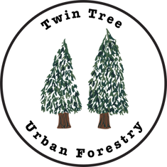 TwinTreeUrbanForestryImage.png