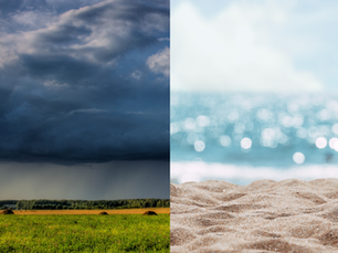 Wie riecht der Sommer?
