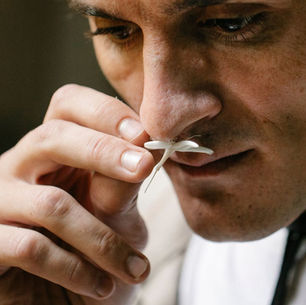 Fragrances for scent marketing and room scenting