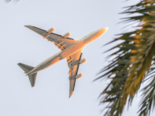 Marketing olfativo en agencias de viajes: cómo los aromas específicos influyen en el comportamiento de reserva