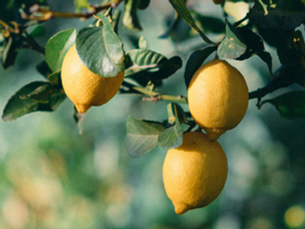 Lemon & Amber: Parfum d'ambiance haut de gamme