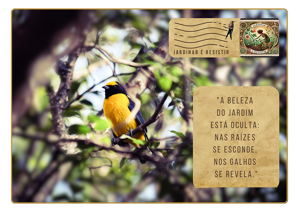 Jardinar é um momento de pausa para contemplar pássaros.