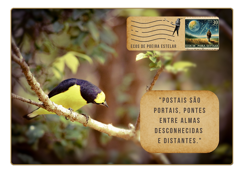 Uma viagem é um portal, é também um cartão postal.