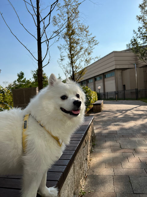 KakaoTalk_20230103_182313286_16.jpg